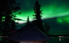 Northernlight cabin with reindeers