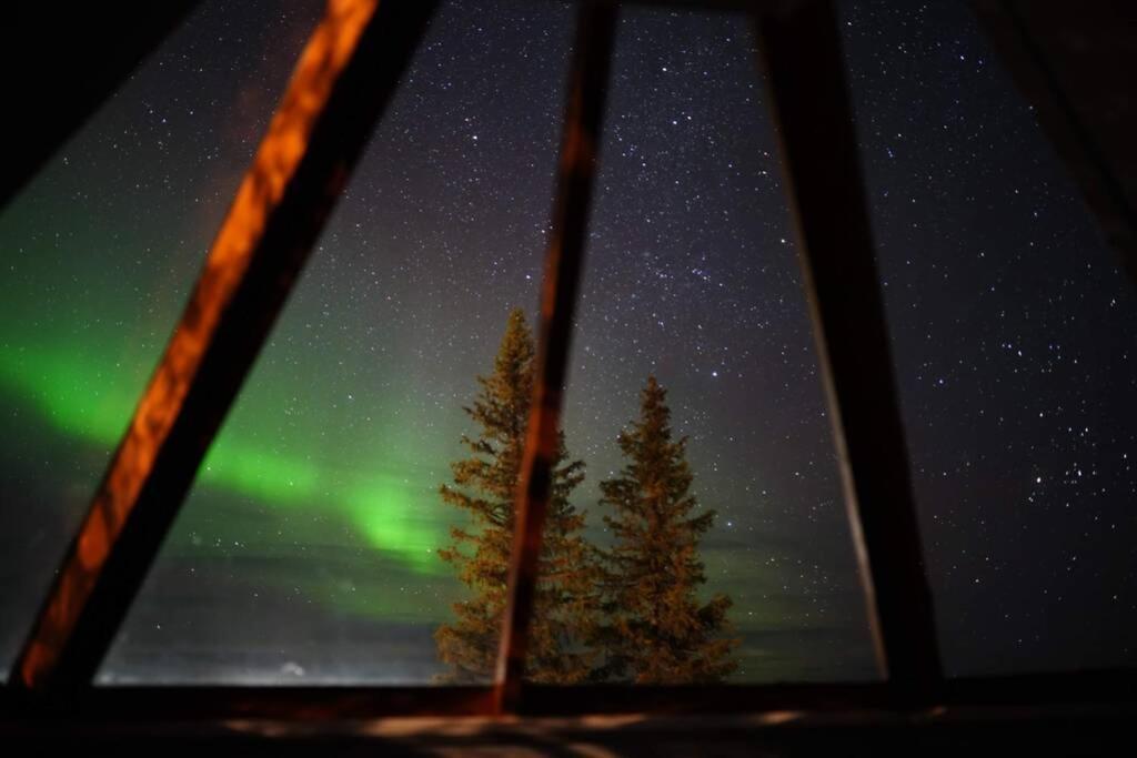 Northernlight cabin with reindeers Kiruna Exterior foto