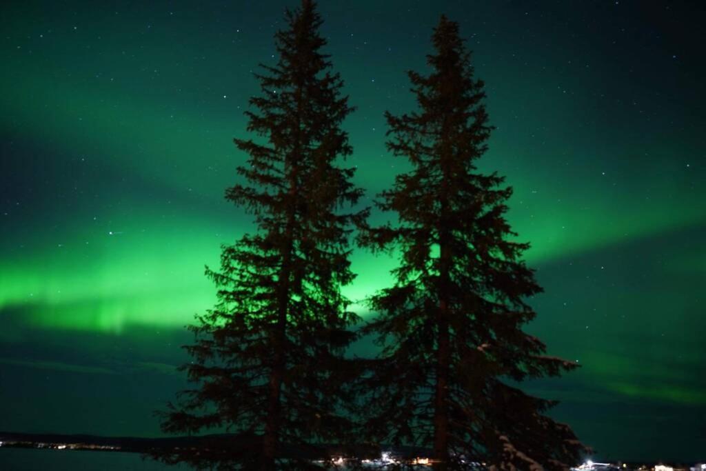 Northernlight cabin with reindeers Kiruna Exterior foto