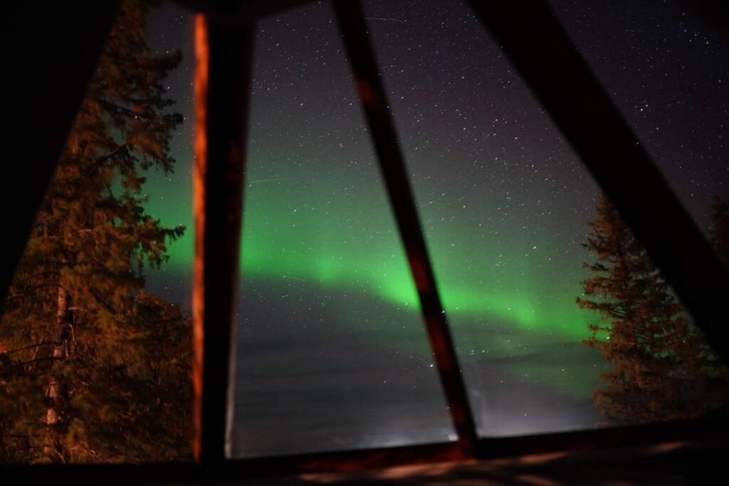 Northernlight cabin with reindeers Kiruna Exterior foto