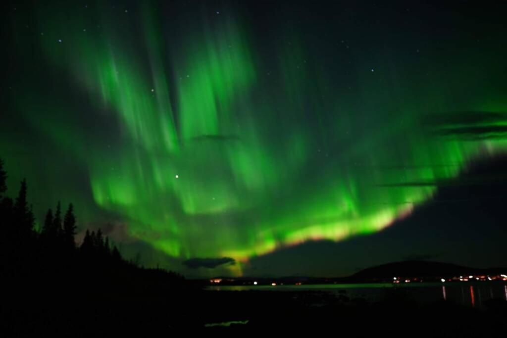 Northernlight cabin with reindeers Kiruna Exterior foto