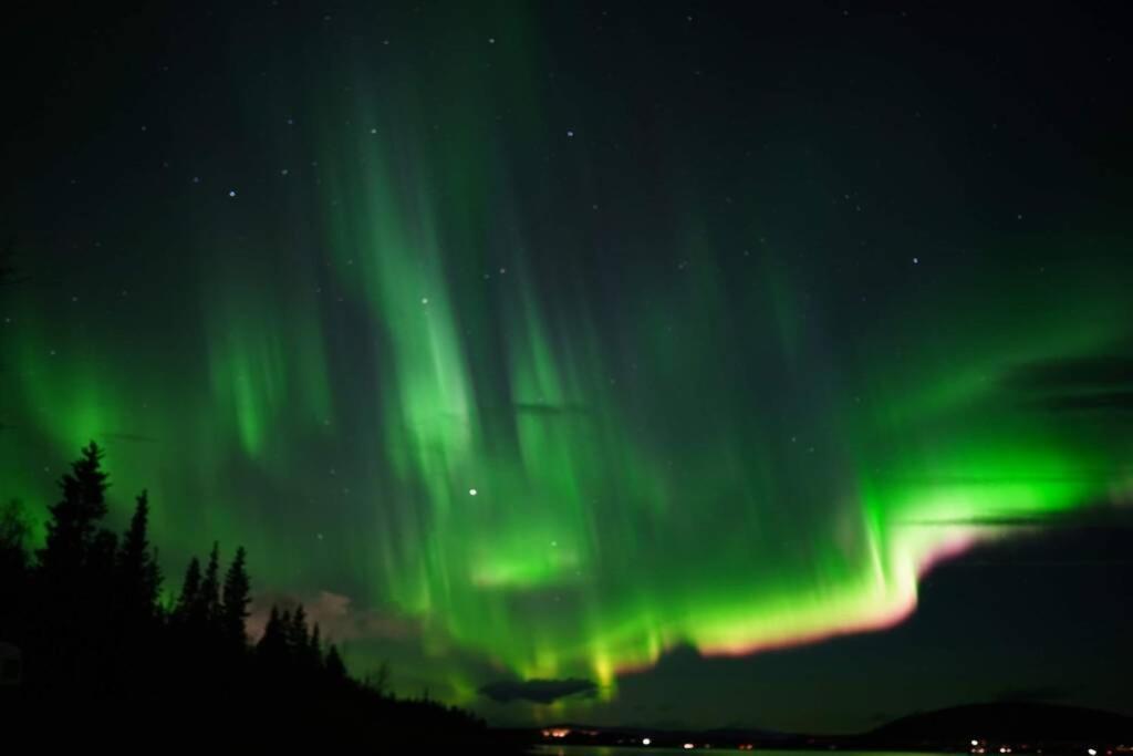 Northernlight cabin with reindeers Kiruna Exterior foto