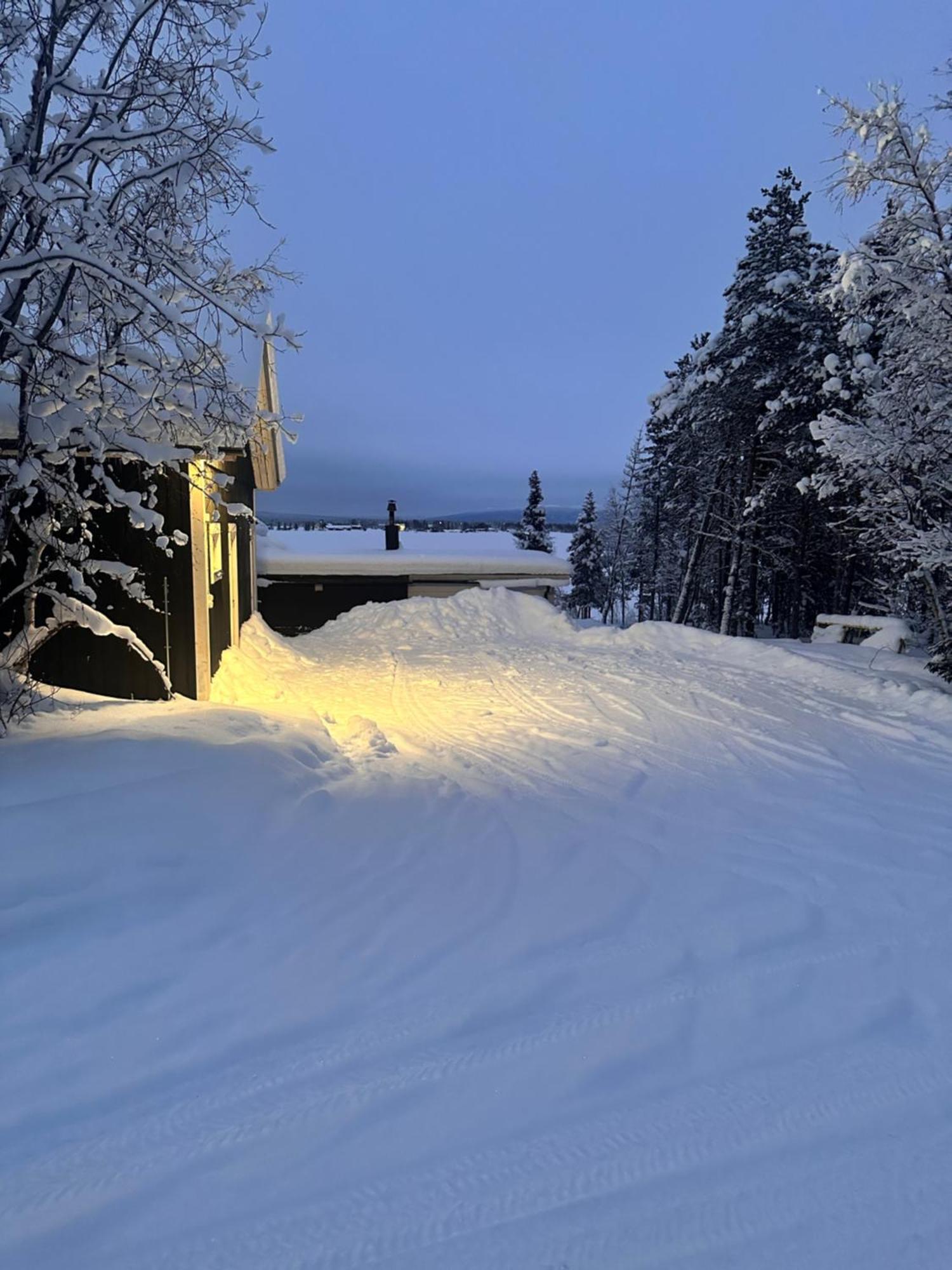 Northernlight cabin with reindeers Kiruna Exterior foto